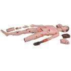 Emergency Trauma Training Simulation Mannequin