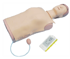  CPR Training Manikin Manufacturers in Algeria